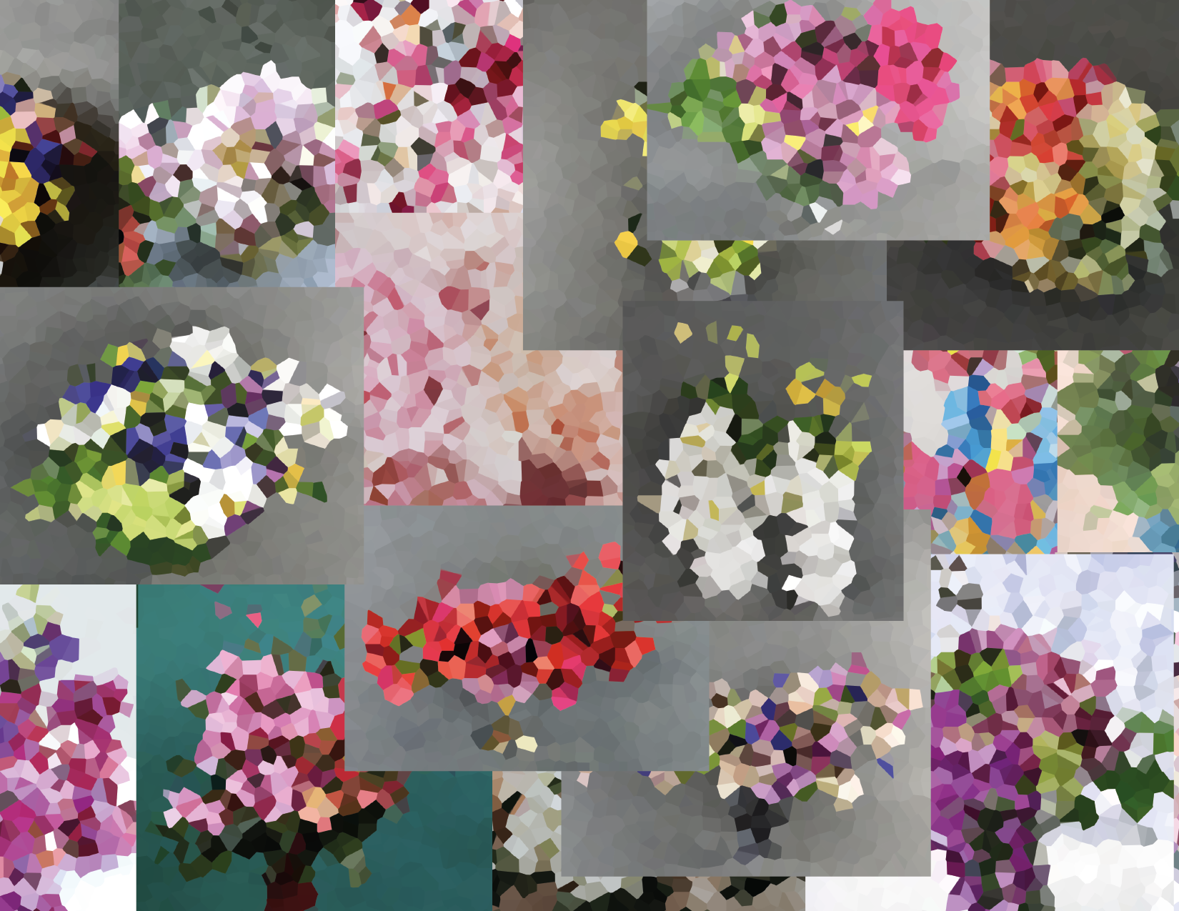 flowerzillustration